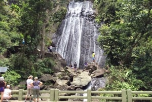 San Juan: El Yunque Rainforest Guided Tour