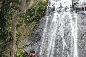 San Juan: El Yunque Rainforest Guided Tour