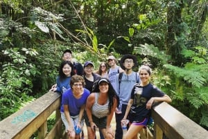 San Juan: El Yunque Rainforest Guided Tour