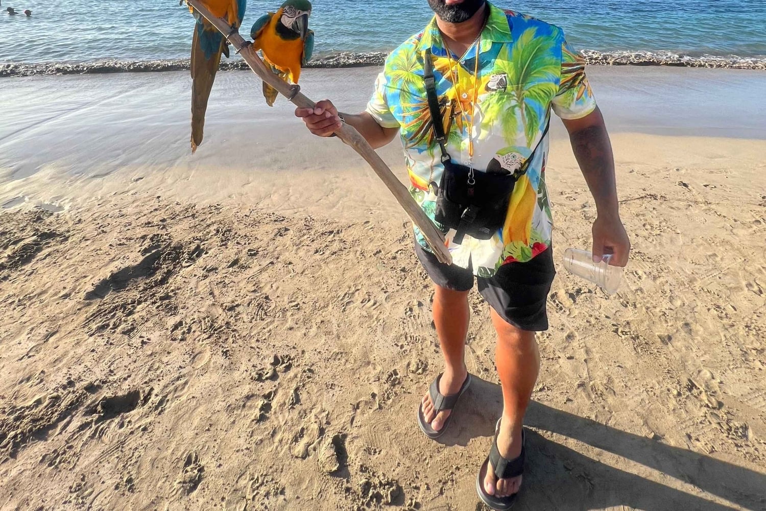 サンファン：エル・ユンケ熱帯雨林ハイキング & ルキロビーチ