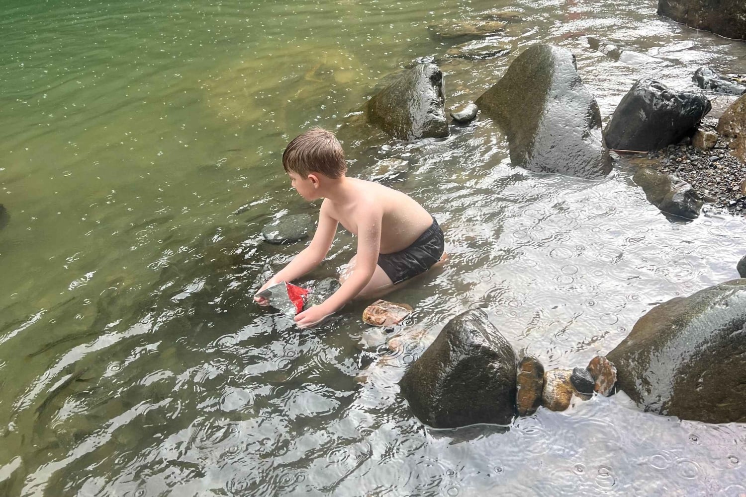 サンファン：エル・ユンケ熱帯雨林ハイキング & ルキロビーチ