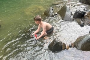 サンファン：エル・ユンケ熱帯雨林ハイキング & ルキロビーチ