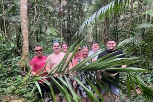 サンファン：エル・ユンケ熱帯雨林ハイキング & ルキロビーチ