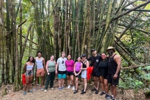 サンファン：エル・ユンケ熱帯雨林ハイキング & ルキロビーチ