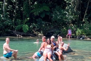 サンファン：エル・ユンケ熱帯雨林ハイキング & ルキロビーチ