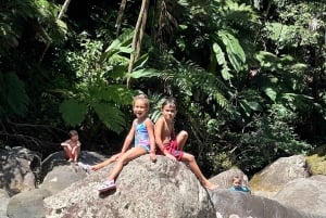 サンファン：エル・ユンケ熱帯雨林ハイキング & ルキロビーチ