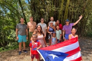 サンファン：エル・ユンケ熱帯雨林ハイキング & ルキロビーチ