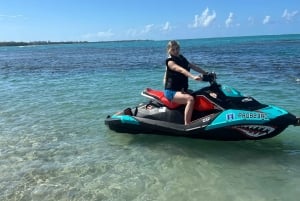 サンファン：エル・ユンケ熱帯雨林ハイキング & ルキロビーチ