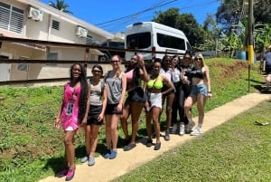 サンファン：エル・ユンケ熱帯雨林ハイキング & ルキロビーチ