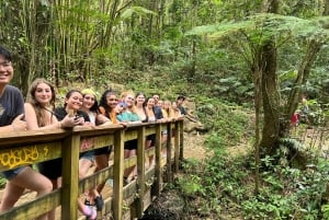 サンファン：エル・ユンケ熱帯雨林ハイキング & ルキロビーチ
