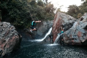 San Juan: Vandring og vannsklie i regnskogen El Yunque og Bio Bay