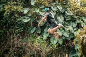 San Juan: Vandretur og vandrutsjebane i El Yunque-regnskoven og Bio Bay