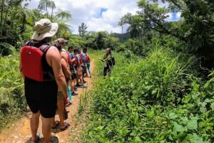 San Juan: El Yunque Regenwoud Wandeling & Waterglijbaan en Bio Bay