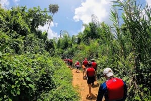San Juan : randonnée et toboggan aquatique dans la forêt tropicale d'El Yunque et Bio Bay
