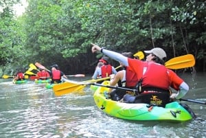 San Juan: Excursión y tobogán acuático en el bosque tropical de El Yunque y Bio Bay