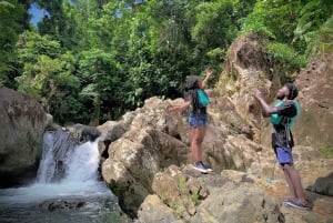 San Juan: Wycieczka do lasu deszczowego El Yunque i zjeżdżalnia wodna oraz Bio Bay