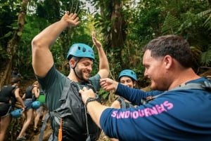San Juan: Vandretur og vandrutsjebane i El Yunque-regnskoven og Bio Bay