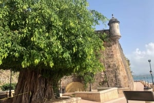 San Juan: Old San Juan Guided Walking Tour