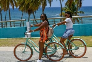 San Juan: Geführte Fahrradtour