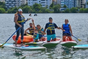 San Juan: Wycieczka z przewodnikiem po lagunie Condado kajakiem/paddleboardem