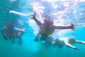 San Juan : Excursion de plongée avec masque et tuba pour les lamantins et les tortues avec rhum gratuit