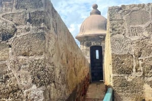 San Juan: Gamlebyen og Castillo El Morro guidet fottur