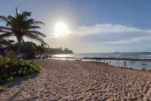 San Juan: Old San Juan, El Yunque & Piñones Beach Tour