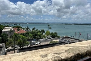 San Juan: Old San Juan, El Yunque & Piñones Beach Tour