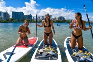 San Juan: Paddleboard Rental at Condado Lagoon