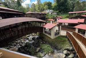 San Juan: Motorvejstur med svinekød, hvor der laves og smages på mad