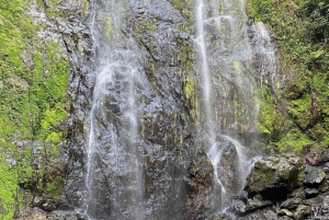 San Juan, PR: Caminhada para uma aventura em uma cachoeira escondida