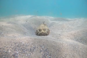 SAN JUAN : Tours privés de plongée sous-marine pour débutants !!!