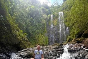 San Juan: Private Rainforest Waterfall Hike with Transport