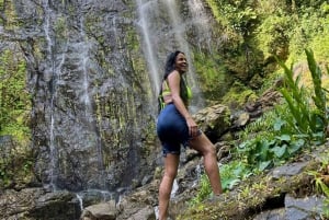 San Juan: Private Rainforest Waterfall Hike with Transport