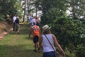 San Juan: Puerto Rico Coffee Plantation Tour and Tastings