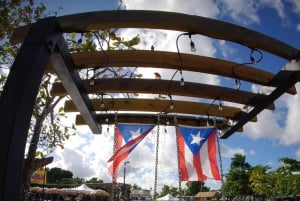 San Juan : Aventure dans les grottes de la forêt tropicale et les chutes d'eau