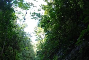 San Juan : Aventure dans les grottes de la forêt tropicale et les chutes d'eau