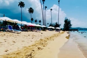 San Juan: Vandrutsjebaner i regnskoven og strandtur med transport