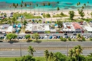 San Juan: Vandrutsjebaner i regnskoven og strandtur med transport