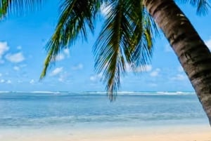 San Juan: Vandrutsjebaner i regnskoven og strandtur med transport