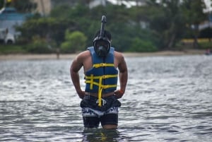 San Juan: Snorkling på revet