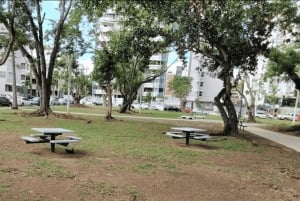 San Juan: Salsakurs för nybörjare