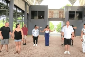 San Juan: Salsakurs för nybörjare