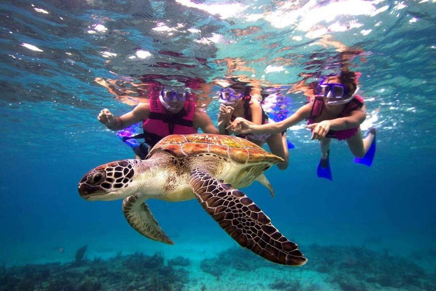 San Juan Snorkeling Tour with Roundtrip Transportation