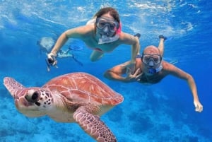 Excursion de plongée en apnée à San Juan avec transport aller-retour