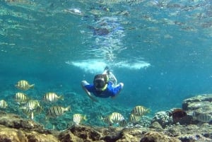 Excursion de plongée en apnée à San Juan avec transport aller-retour