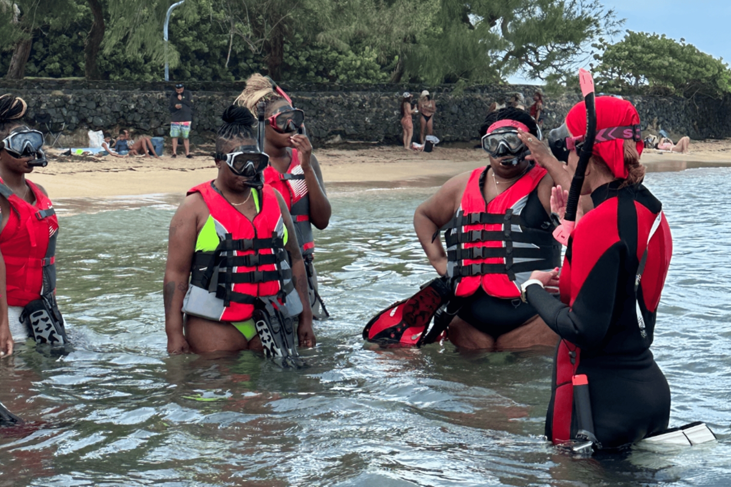 San Juan: snorkelen met schildpaddenavontuur en gratis video's