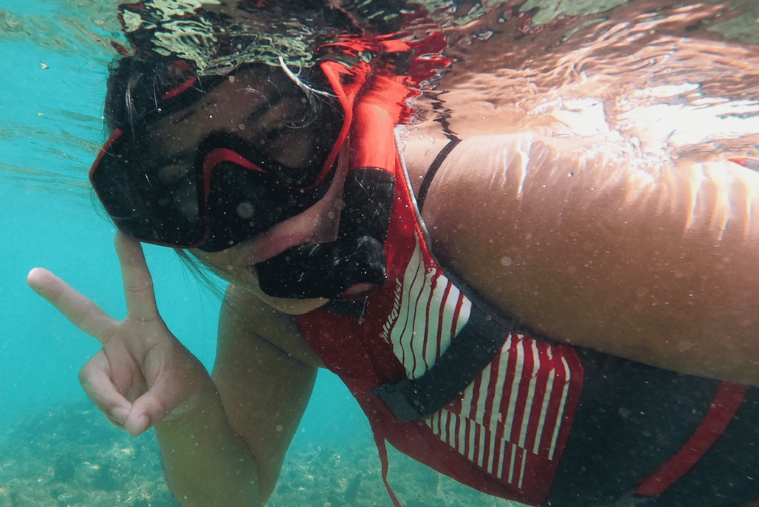 San Juan: snorkelen met schildpaddenavontuur en gratis video's