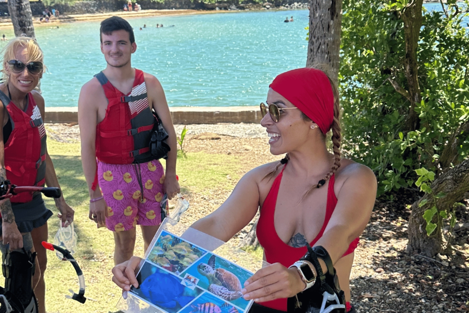 San Juan: snorkelen met schildpaddenavontuur en gratis video's