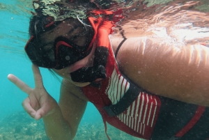 San Juan: snorkelen met schildpaddenavontuur en gratis video's